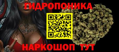эйфоретик Моздок