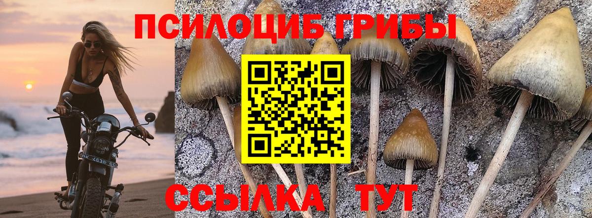 Псилоцибиновые грибы мухоморы Уварово