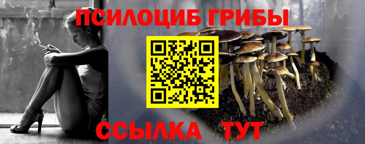 Псилоцибиновые грибы прущие грибы  Вход с VPN  Уварово 